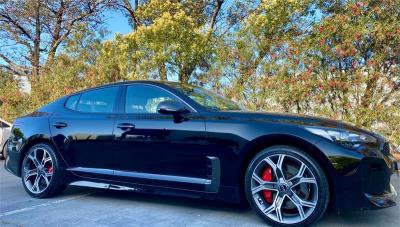 2019 Kia Stinger GT Carbon Edition Sedan CK MY20 for sale in Moorabbin